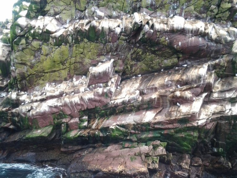 20120821_125038.jpg image