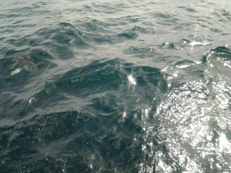 20120821_133412.jpg image