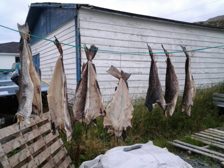 20120815_130409.jpg image