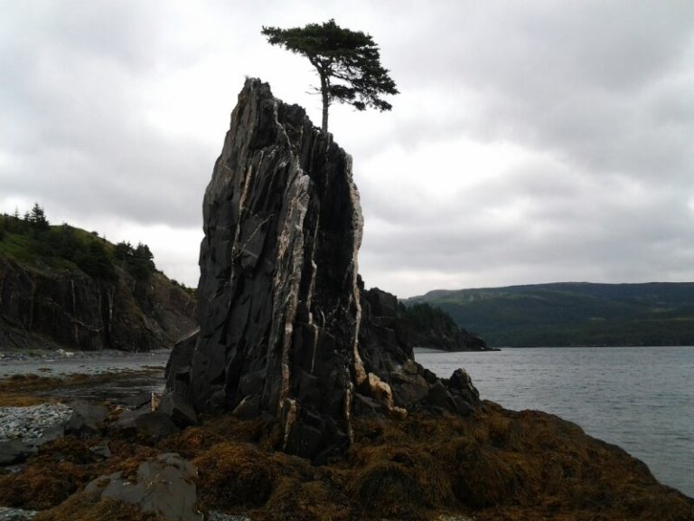 20120815_131132.jpg image