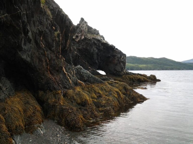 20120815_132141.jpg image