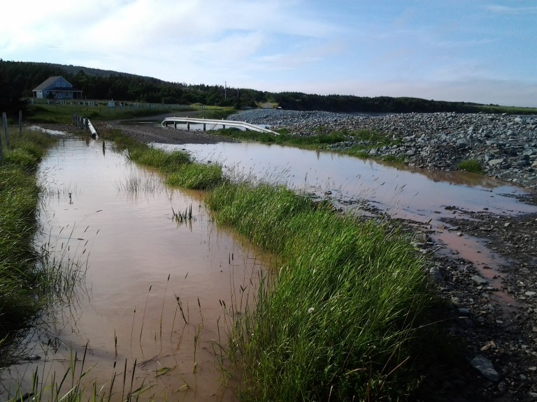 Road I wouldn't let Leo take to get closer to the surfers!