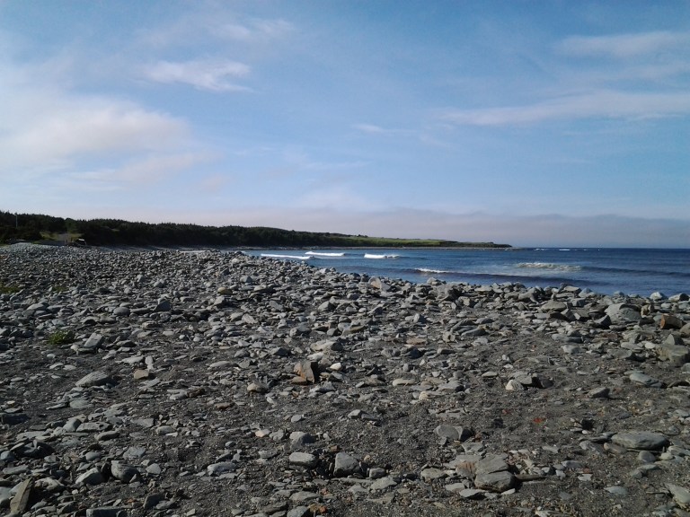 Two surfers try to catch a wave in New Melbourne, NL. Whales were only metres away.