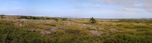 Fog clinging to Bacalieu Island near Grates Cove