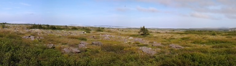 Fog clinging to Bacalieu Island near Grates Cove