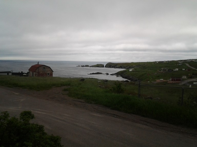 View from Grates Cove Studio rental house