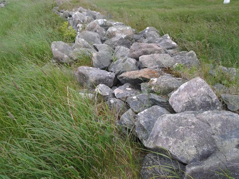 Rock walls were used to clear fields and divide property as well as to keep animals in our out of gardens. Unique to this area of Newfoundland and Labrador.