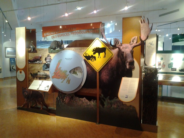 Woody Point interpretation Centre, Gros Morne National Park, NL