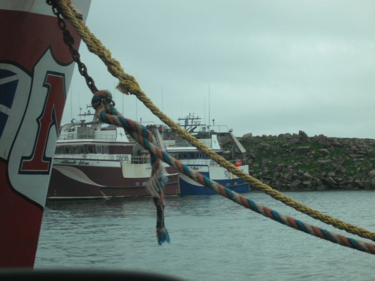 Crab boats, Bay de Verde, NL