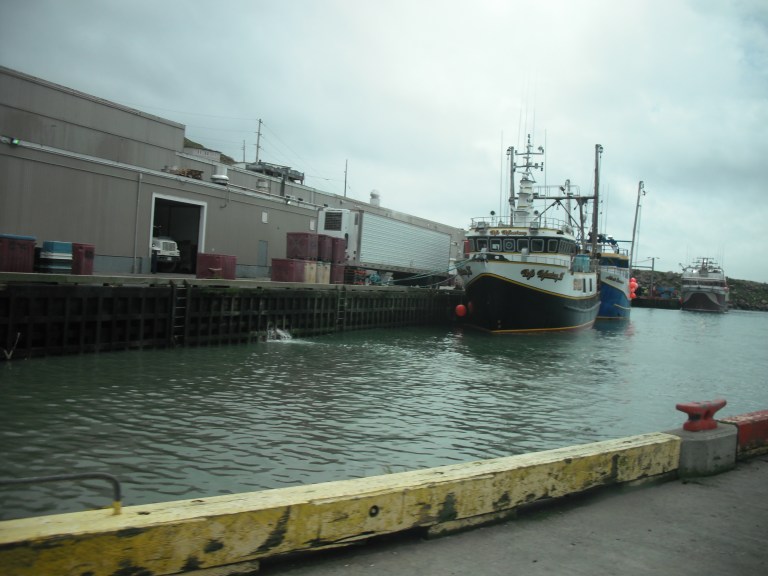 Fish Plant, Bay de Verde, NL