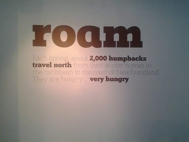 Like the Humpbacks and the nomads, I love to roam!