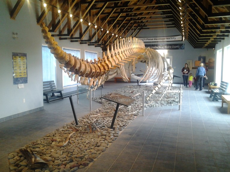 Humpback Whale Pavilion, Kings Point, NL
