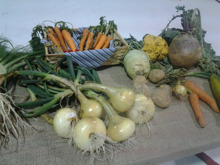 20131012_133108.jpg image