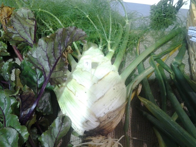 20131012_133117.jpg image