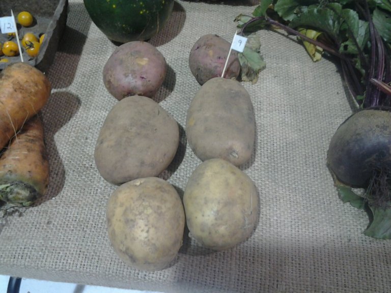 20131012_133126.jpg image