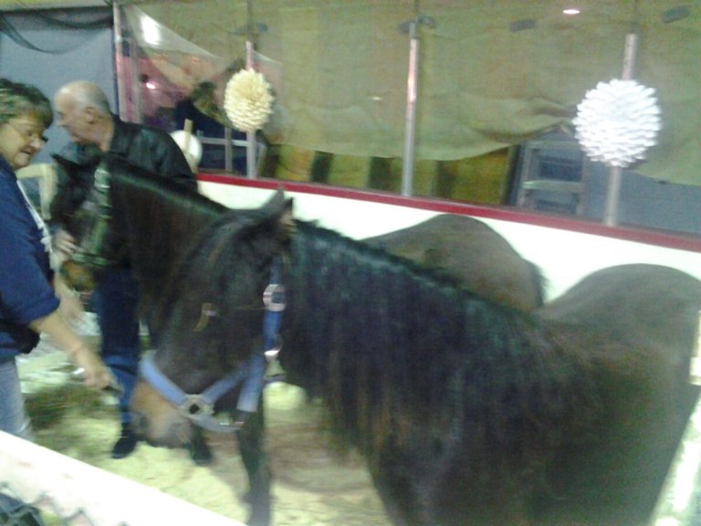 20131012_140100.jpg image