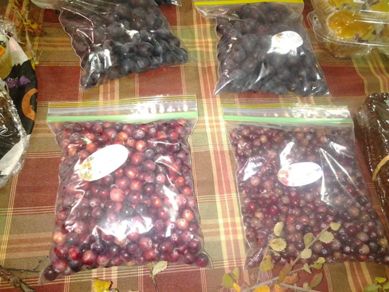 20131012_141520.jpg image