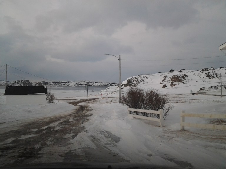 You'd think with this view she'd stay home now and then.