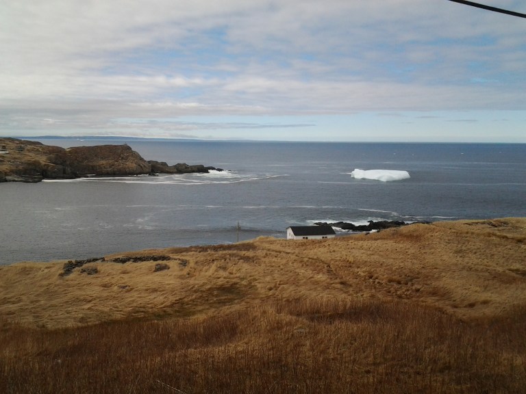 Iceberg in Grates Cove foundered (rolled and therefor changed shape) the night before! 