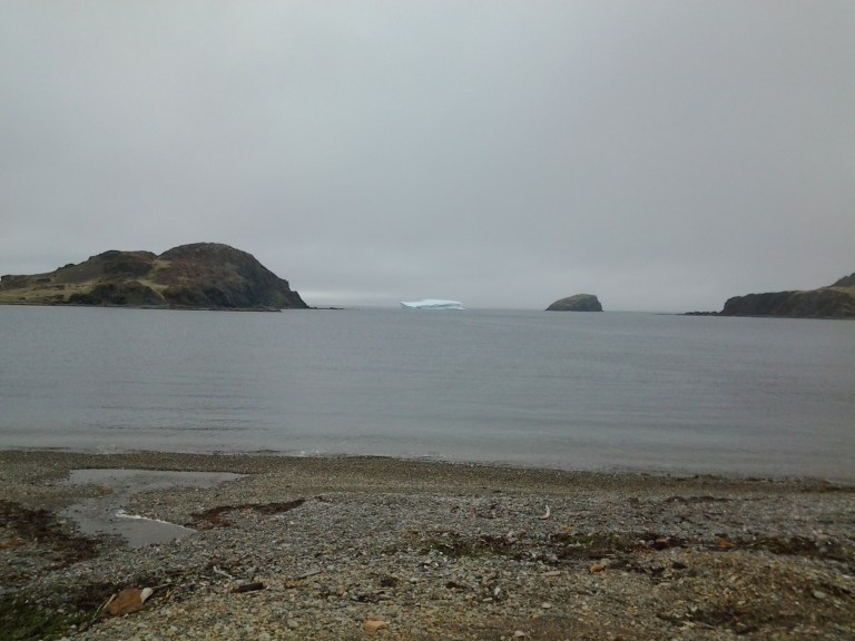 Back Harbour, Twillingate, NL May 25, 2014