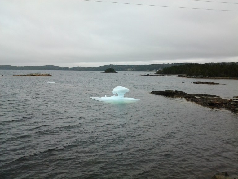Organic sculpture by the sea.