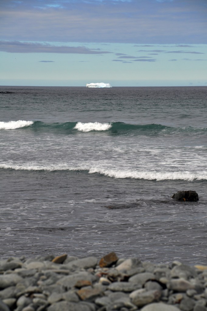 New Melbourne, NL. Getting these pictures from Christina Hicks was like reliving the great day. 