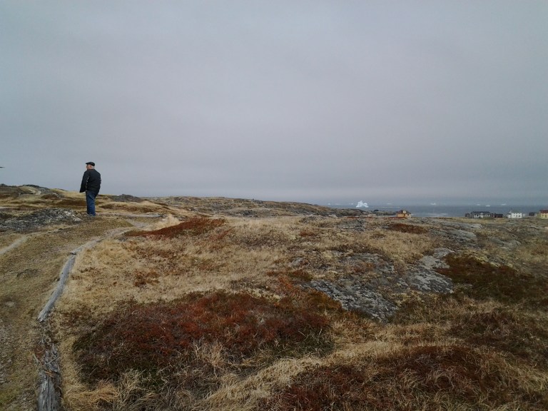 Turpin's Trail icebergs, Tilting, Fogo Island, May 31, 2014