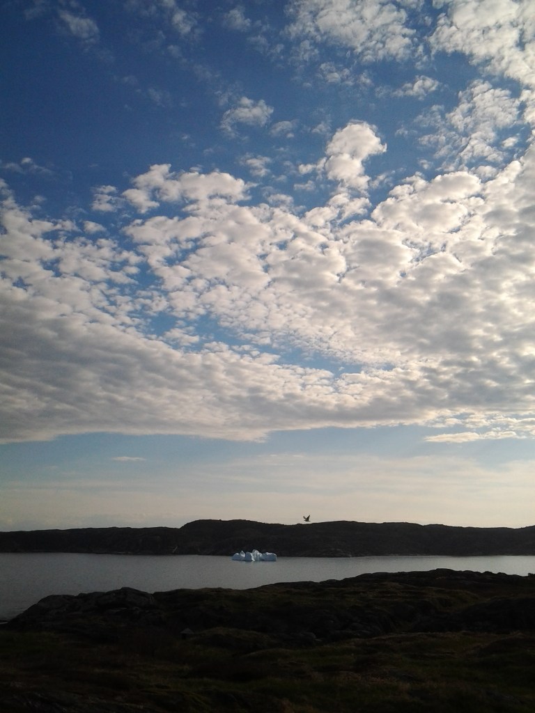 Greenspond, NL June 14, 2014 Iceberg Alley