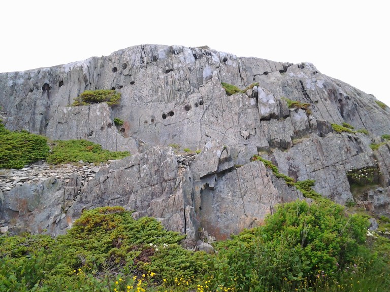 Devils' Footprints, Keels, NL July 5, 2014