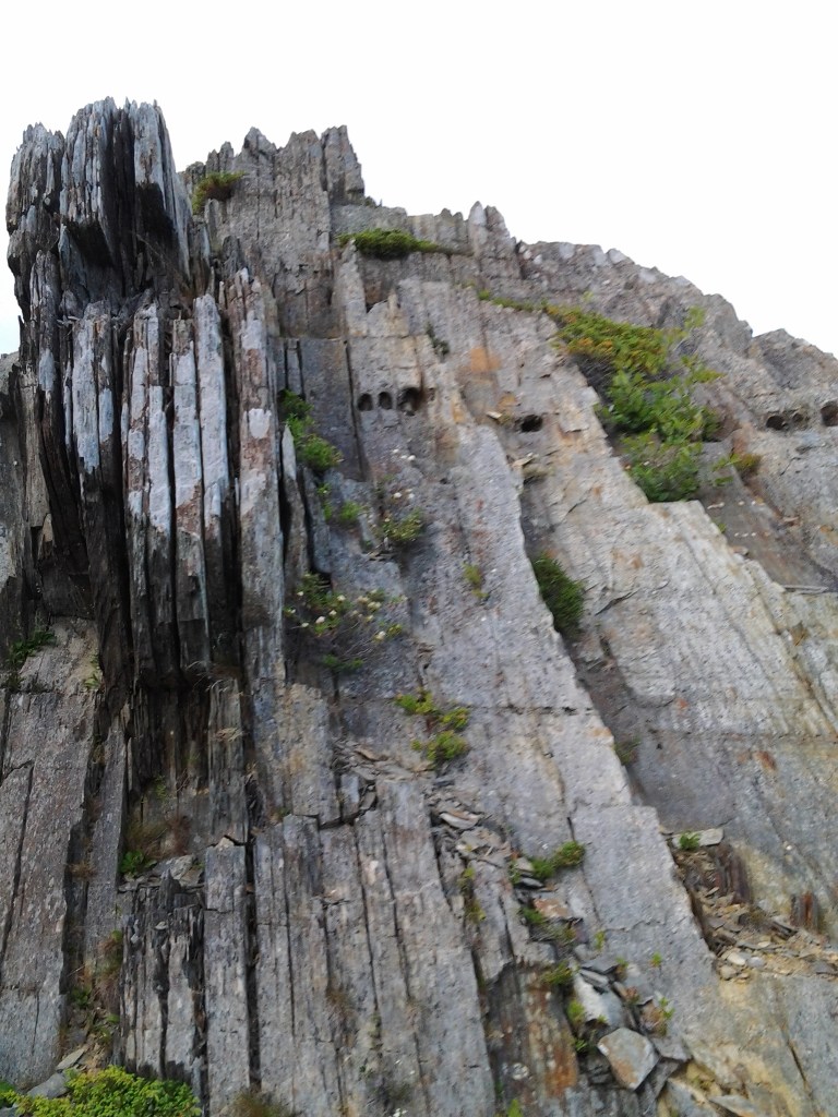 Devils' Footprints, Keels, NL July 5, 2014