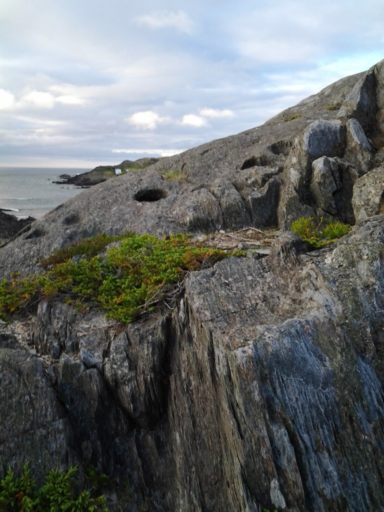 Devils' Footprints, Keels, NL July 5, 2014