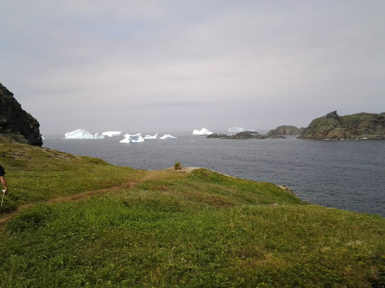 Sleepy Cove reconnaissance for icebergs.