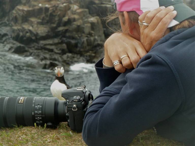 Photographer Paul Dolk and a puffin friend, Open Hall, Newfoundland 