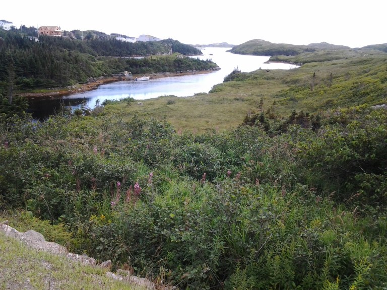 20140814_162543.jpg image