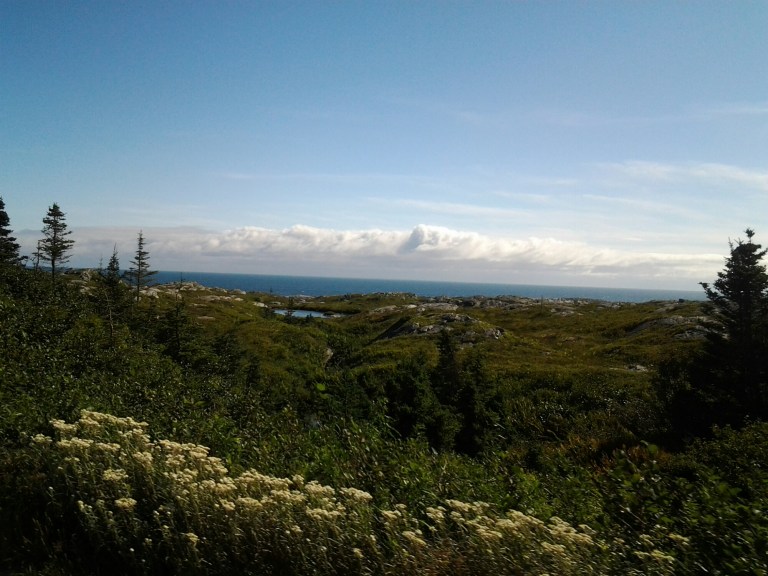 20140814_164358.jpg image