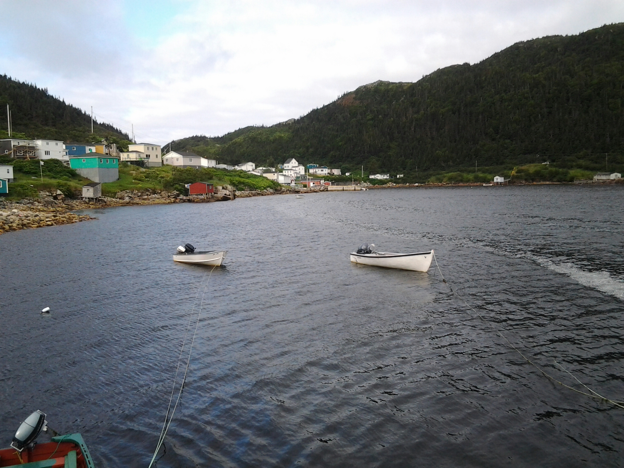 20140815_085038.jpg image