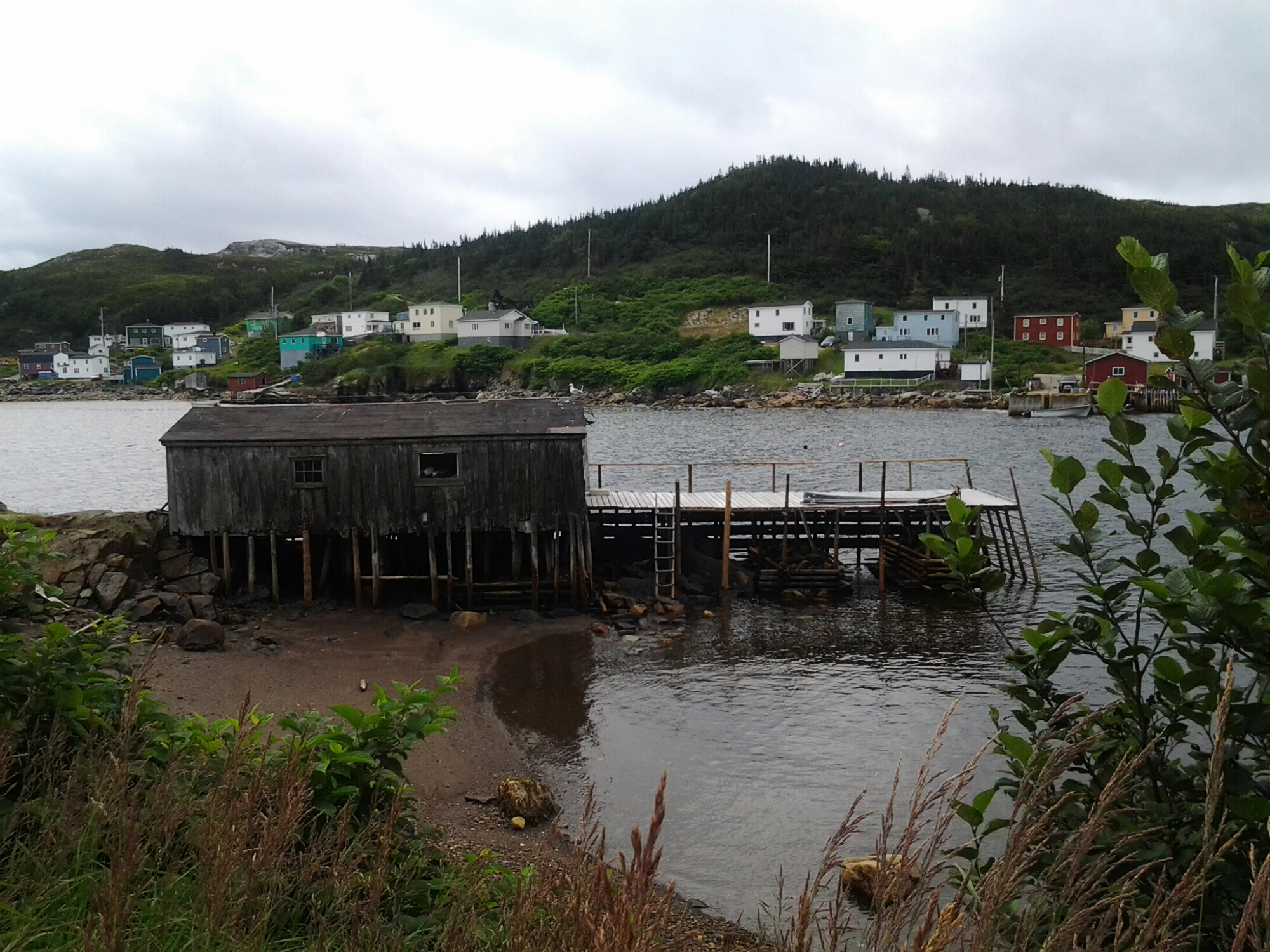 20140815_085945.jpg image