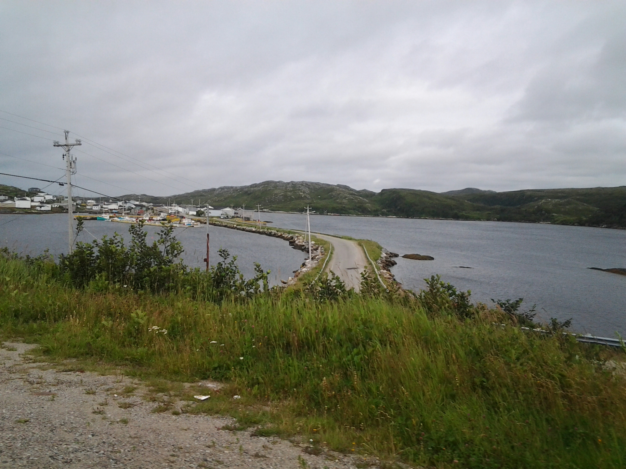 20140815_092248.jpg image