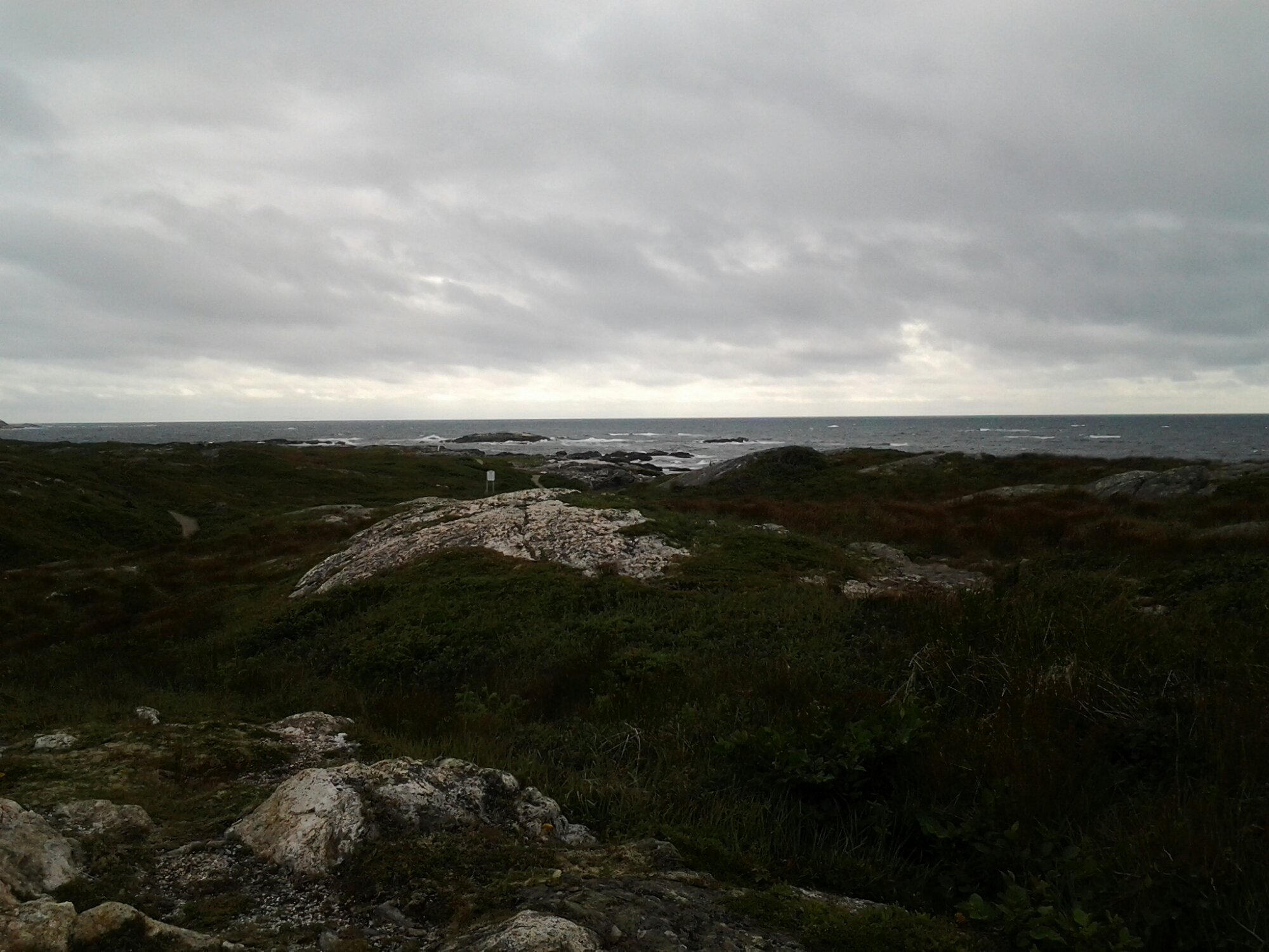 20140815_101922.jpg image