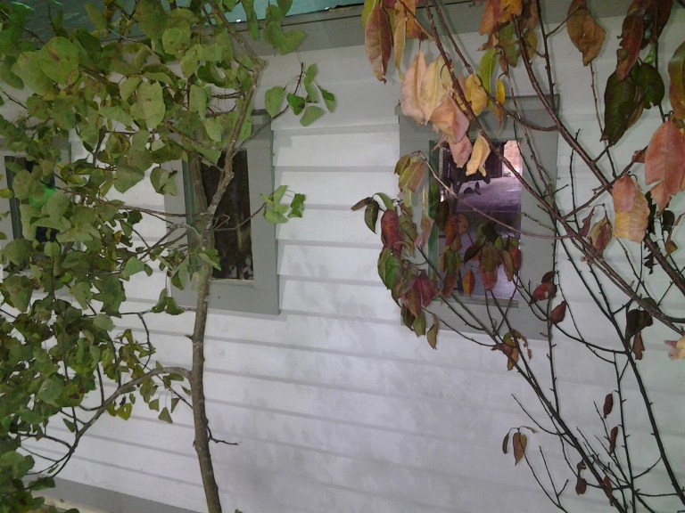 20141011_143543.jpg image