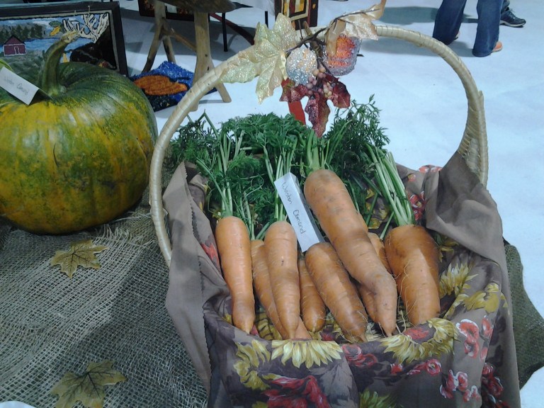 20141011_153021.jpg image