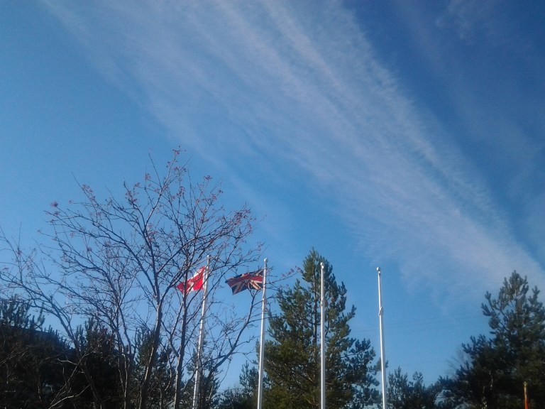 20141111_105305