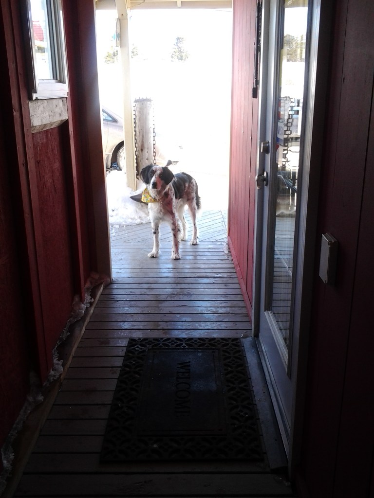 20150321_161639.jpg image