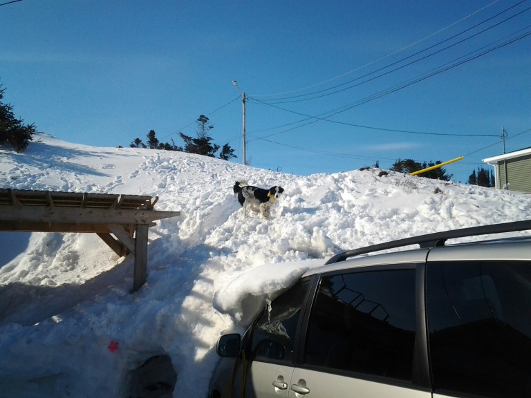 20150321_161728.jpg image