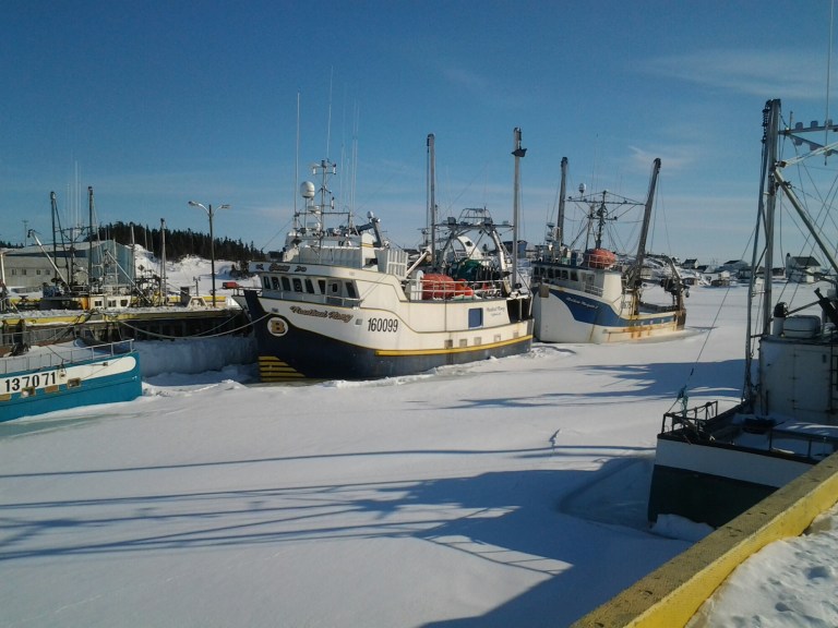 20150321_165046.jpg image