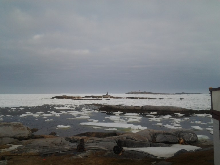 icebergs on the horizon. The view in front of the Old Salt Box House Greenspond, May 2, 2015