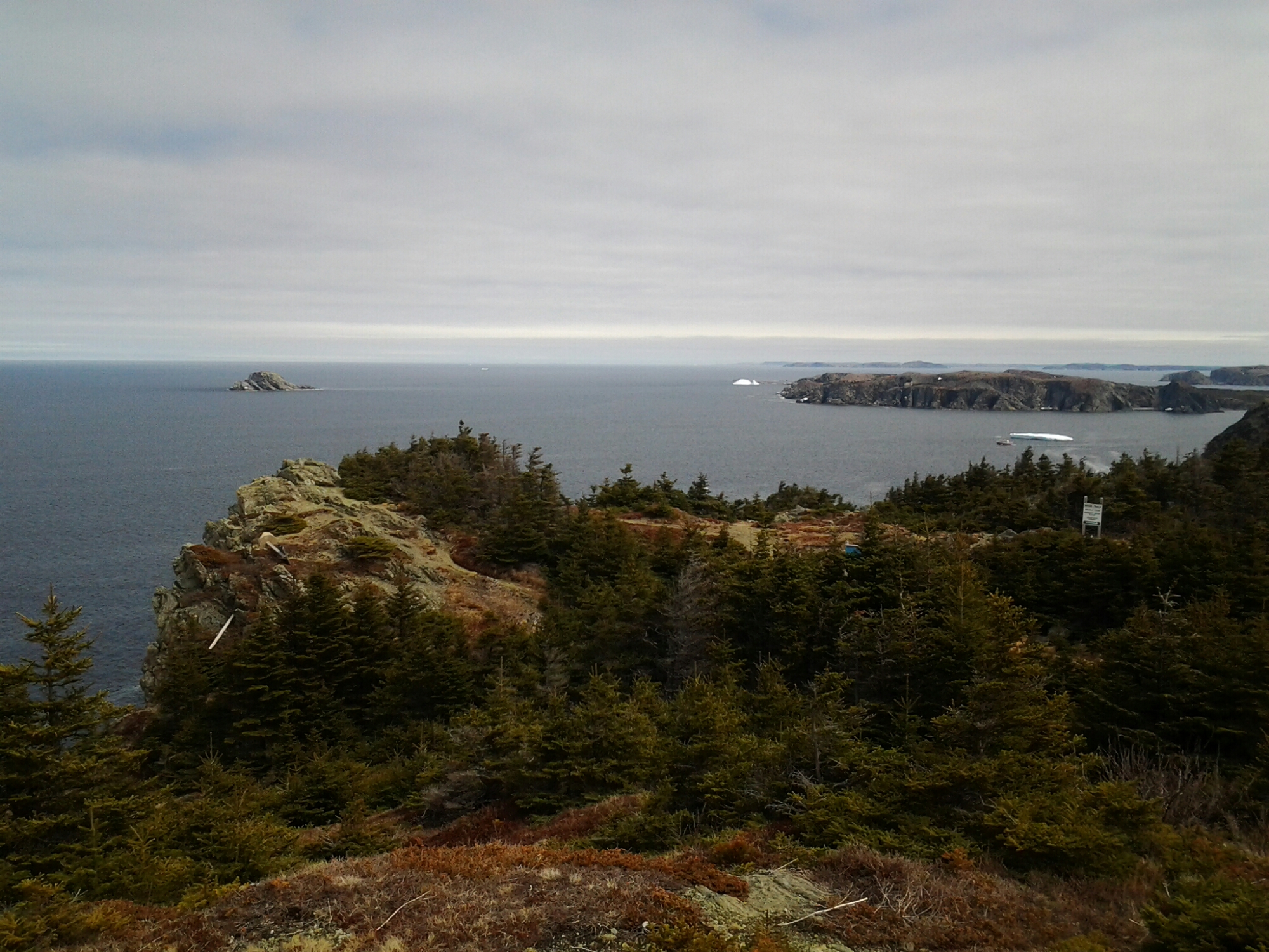 20150510_132743.jpg image