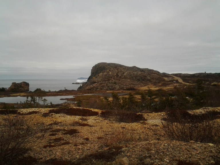 20150510_173100.jpg image