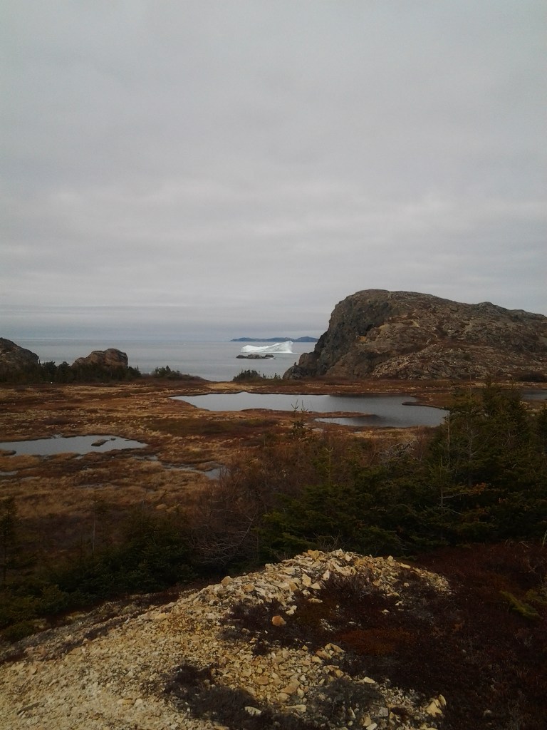 20150510_173507.jpg image