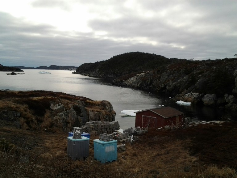 20150510_180905.jpg image